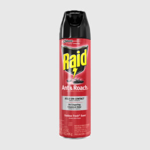 RAID INSECT KILLER 300ML