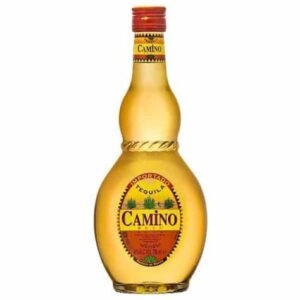 CAMINO REAL GOLD
