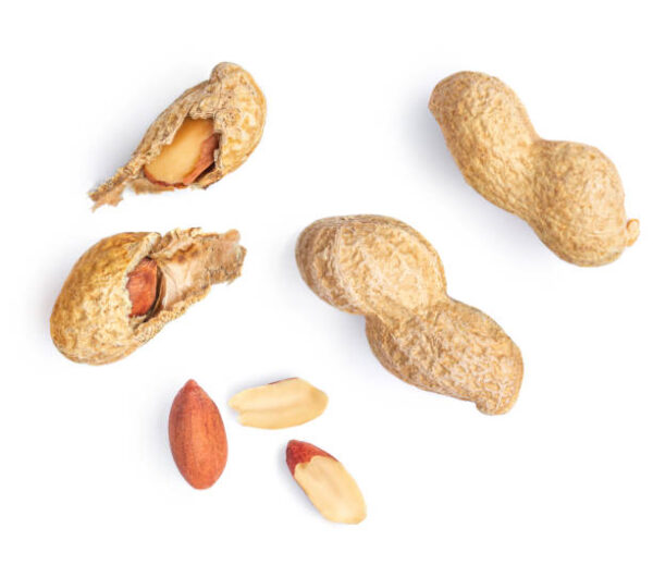 ONYI PEANUT SMALL