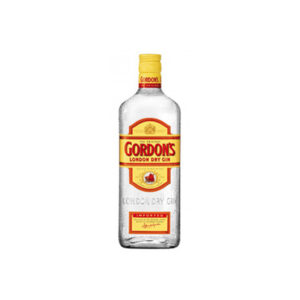 GORDONS DRY GIN BIG