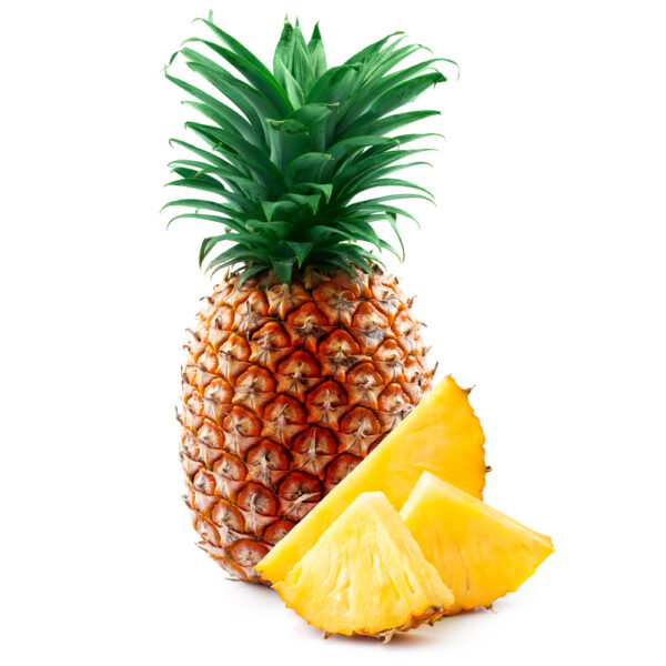 COTONUE PINEAPPLE
