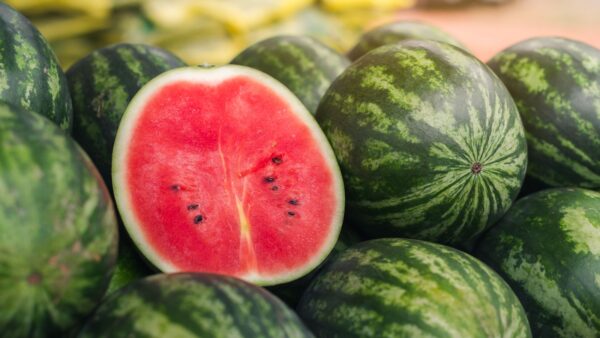 WATER MELON
