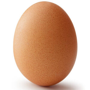 SINGLE EGG
