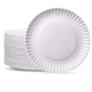 FLAT DISPOSABLE PLATE SMALL